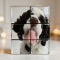 Custom Puzzle Magnets (3"x3")